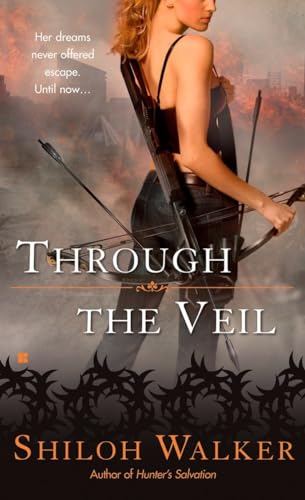 Through the Veil book cover