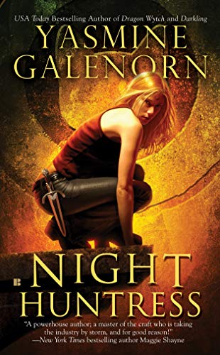Night Huntress book cover