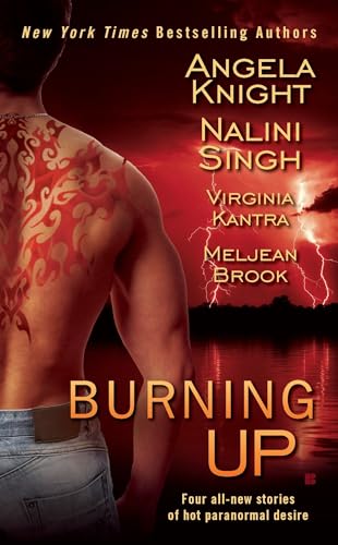 Burning Up book cover