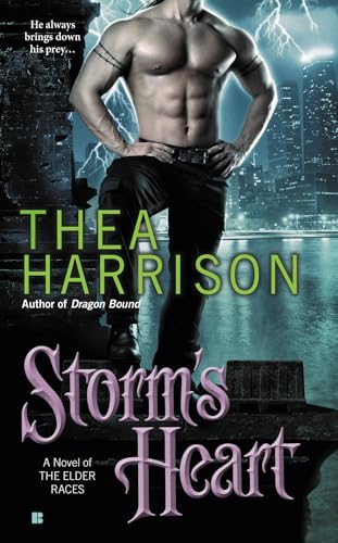 Storm's Heart book cover