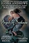 Angel of Darkness