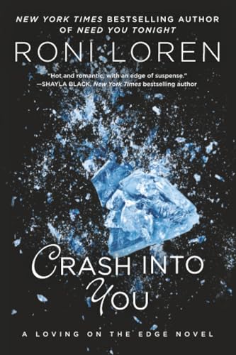 Crash Into You book cover