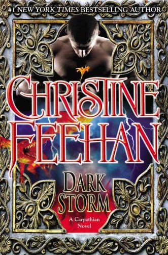 Dark Storm book cover