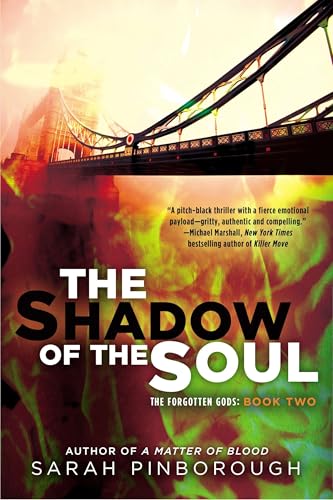 The Shadow of the Soul book cover