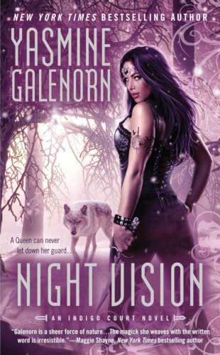 Night Vision book cover