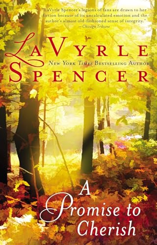 A Promise to Cherish book cover