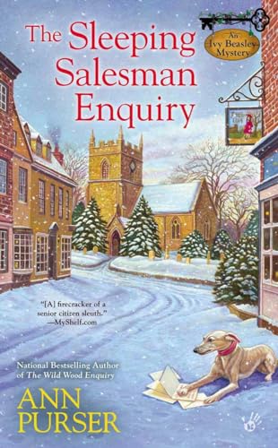 The Sleeping Salesman Enquiry book cover