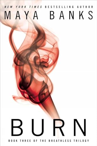 Burn book cover