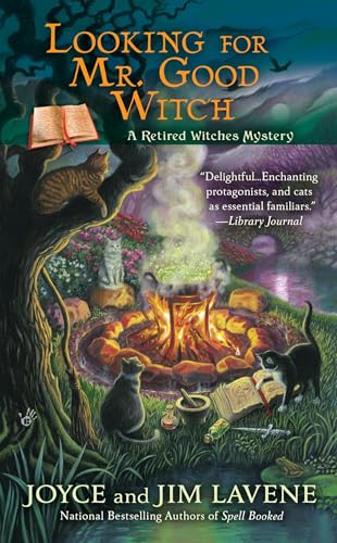 Looking for Mr. Good Witch book cover