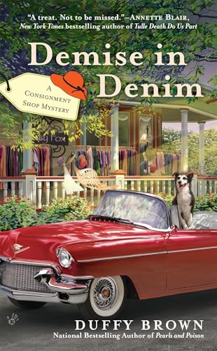 Demise in Denim book cover