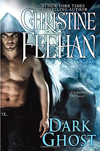 Dark Ghost book cover