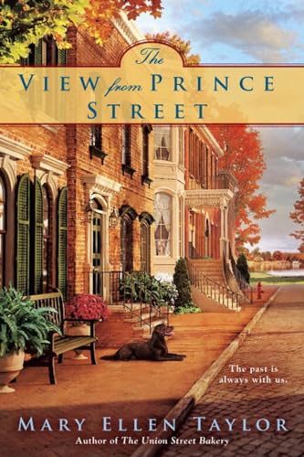 The View from Prince Street book cover