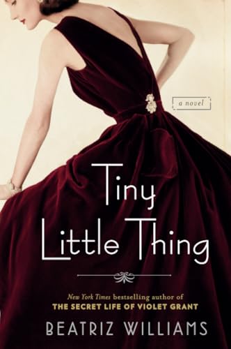 Tiny Little Thing book cover