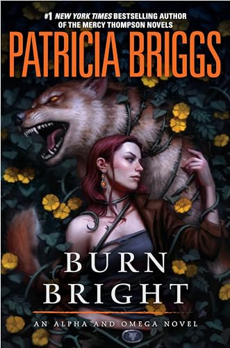 Burn Bright book cover