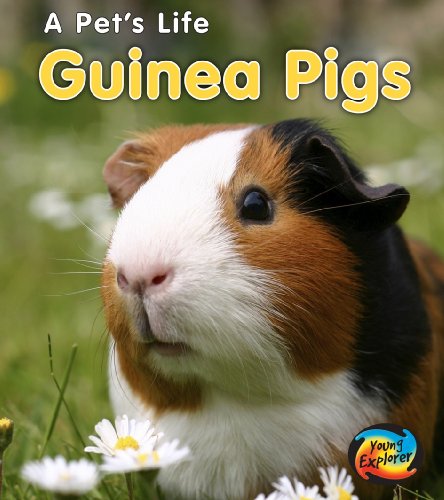 Cover of A Pet's Life