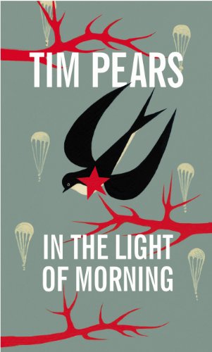 In the Light of Morning book cover