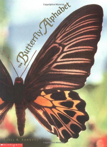 Cover of The butterfly alphabet