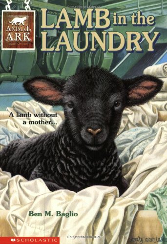 Lamb in the Laundry book cover