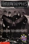 Back to Before (Animorphs Megamorphs #4)