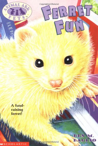 Ferret Fun book cover