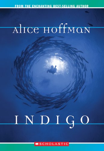 Indigo book cover