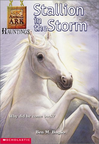 Stallion in the Storm book cover