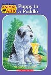 Puppy in a Puddle (Animal Ark)
