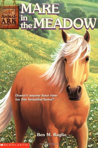 Mare in the Meadow book cover