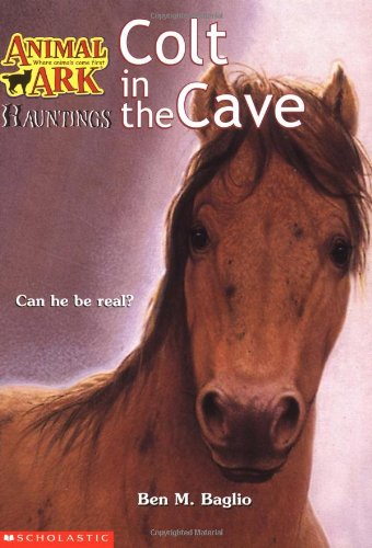 Colt in the Cave book cover