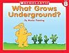 What Grows Underground? (Little Leveled Readers)