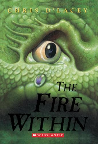 The Fire Within book cover
