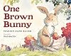One Brown Bunny