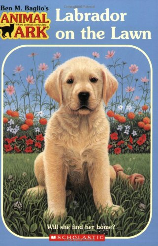 Labrador on the Lawn book cover