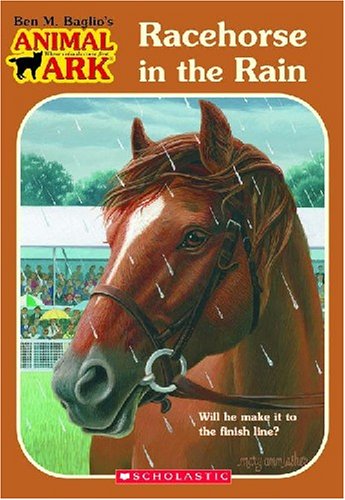Racehorse in the Rain book cover