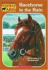 Racehorse in the Rain (Animal Ark)
