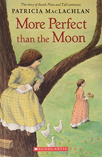 More Perfect Than The Moon book cover