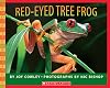 Red-Eyed Tree Frog
