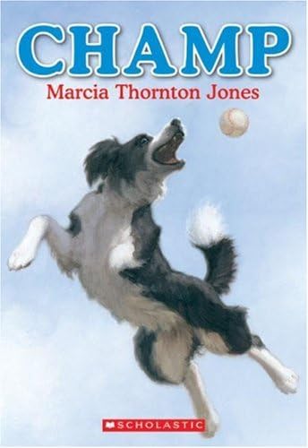 Champ book cover