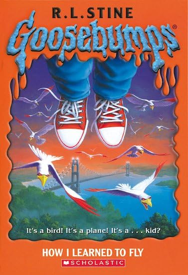 How I Learned to Fly book cover