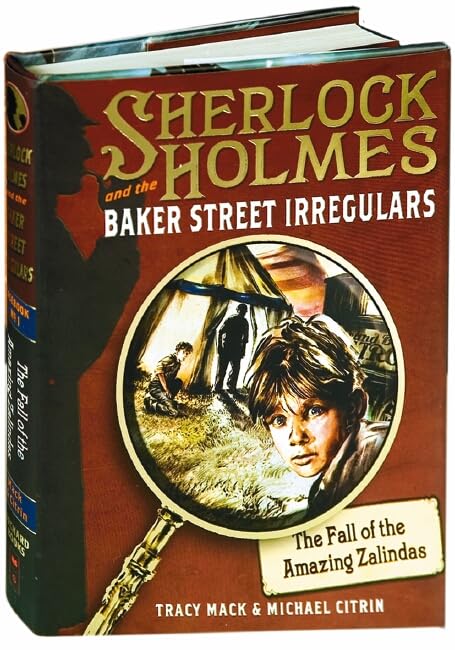 The Fall of the Amazing Zalindas book cover