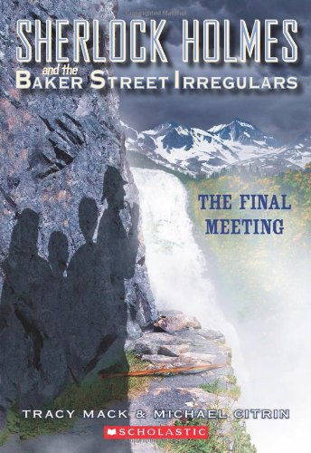 The Final Meeting book cover