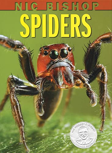 Spiders book cover