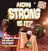 How Strong Is It?