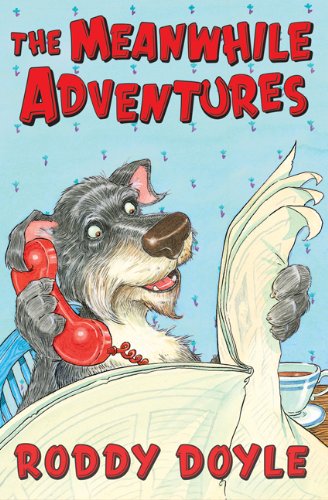 The Meanwhile Adventures book cover