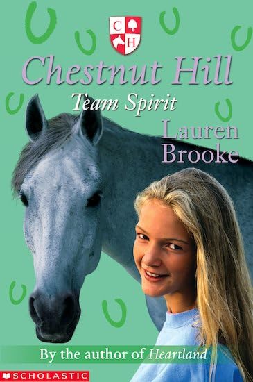 Team Spirit / The Scheme Team book cover