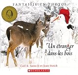 Un étranger dans les bois