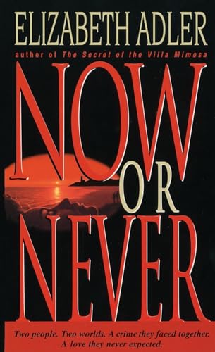 Now or Never book cover