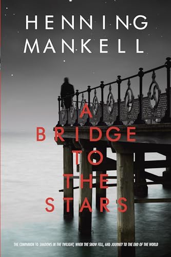 A Bridge to the Stars book cover