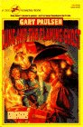 Dunc and the Flaming Ghost book cover