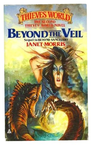 Beyond the Veil book cover